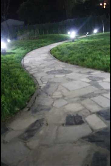校园夜景2