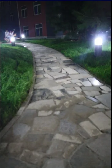 花园夜景小路